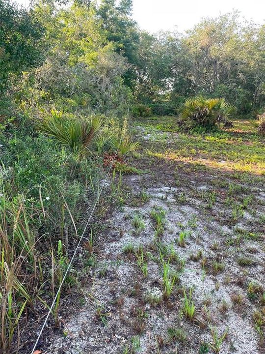待售: $23,000 (0.18 acres)