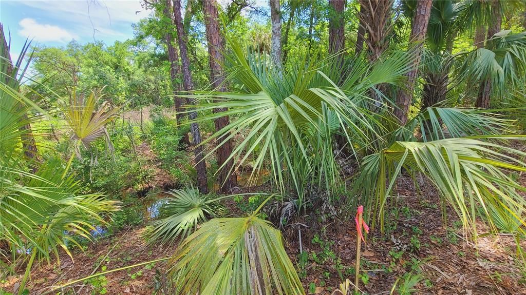 For Sale: $169,500 (1.01 acres)