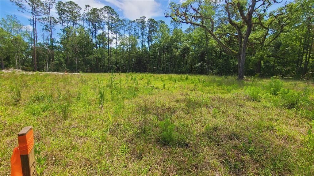 For Sale: $169,500 (1.01 acres)