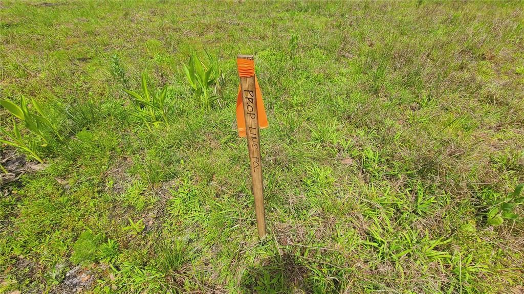 For Sale: $169,500 (1.01 acres)