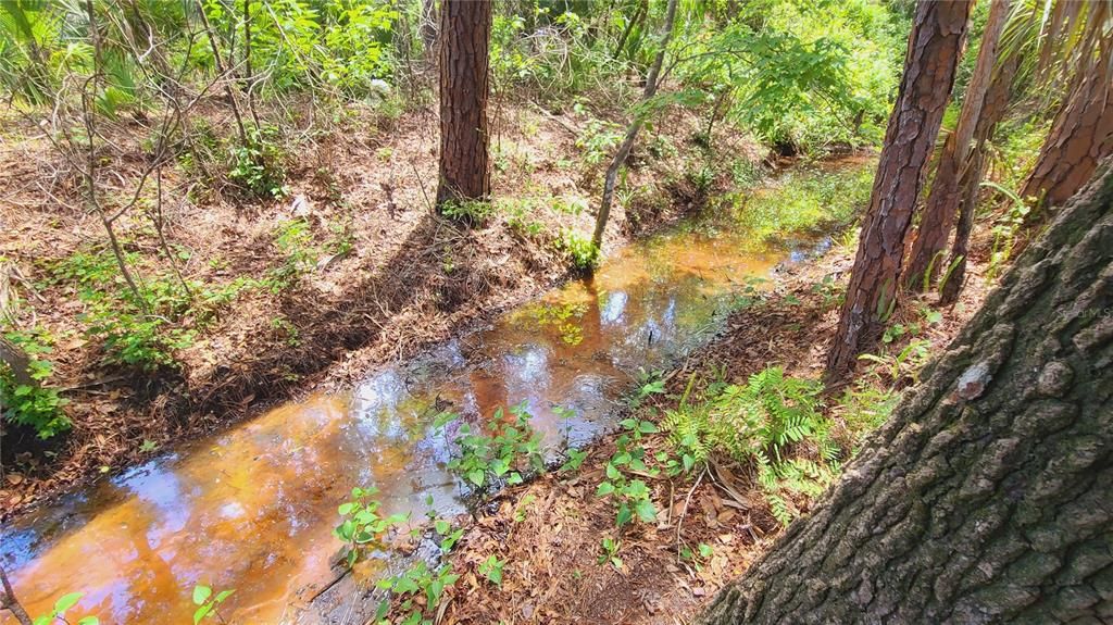 For Sale: $169,500 (1.01 acres)