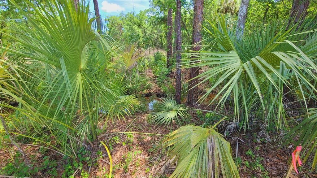 For Sale: $169,500 (1.01 acres)
