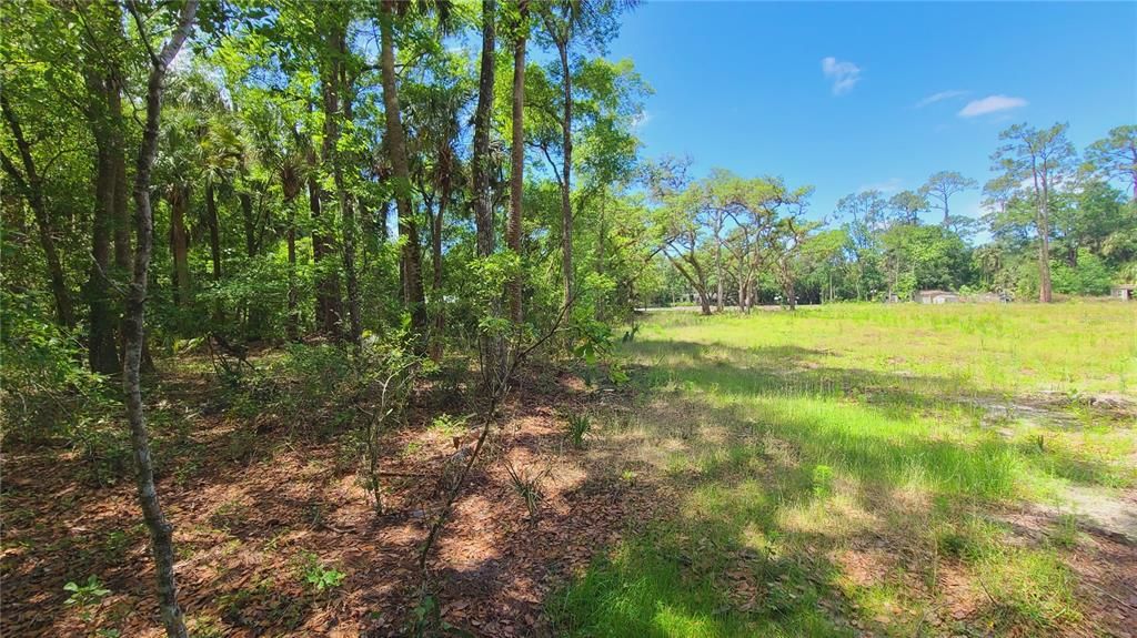 For Sale: $169,500 (1.01 acres)