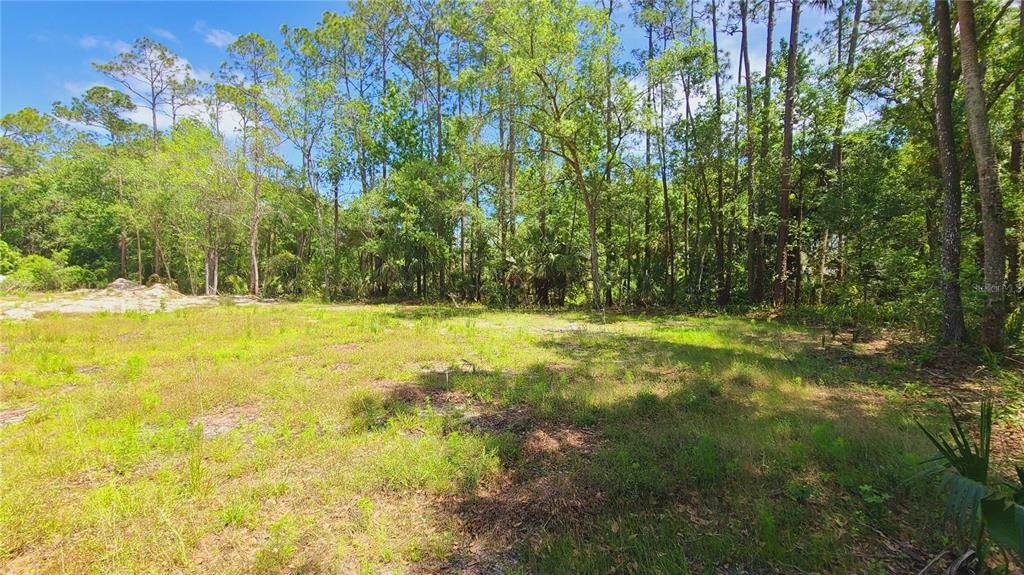For Sale: $169,500 (1.01 acres)