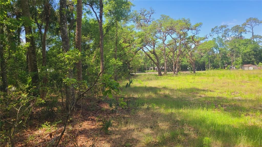 For Sale: $169,500 (1.01 acres)