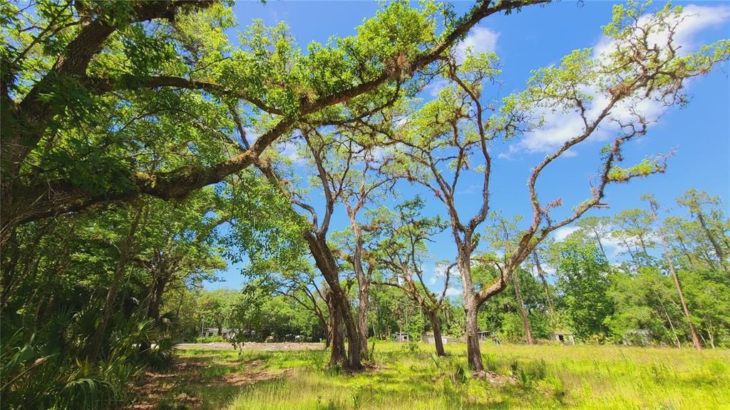 For Sale: $169,500 (1.01 acres)