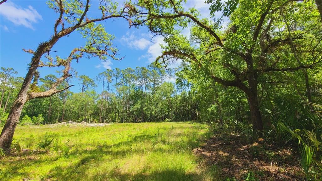 For Sale: $169,500 (1.01 acres)