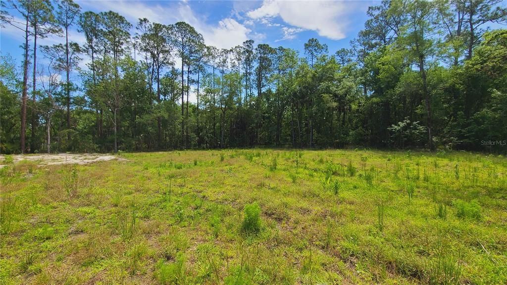 For Sale: $169,500 (1.01 acres)