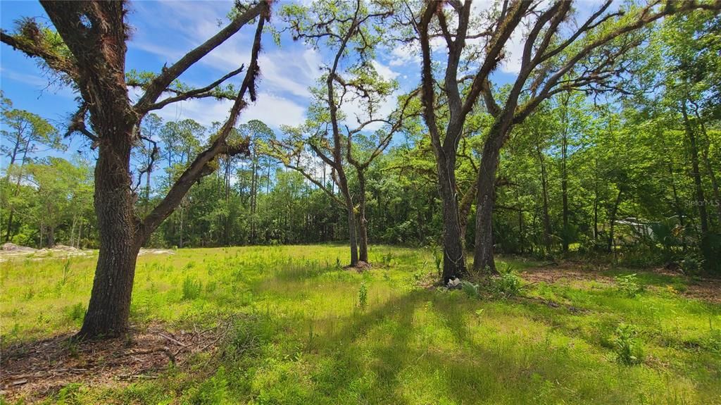 For Sale: $169,500 (1.01 acres)