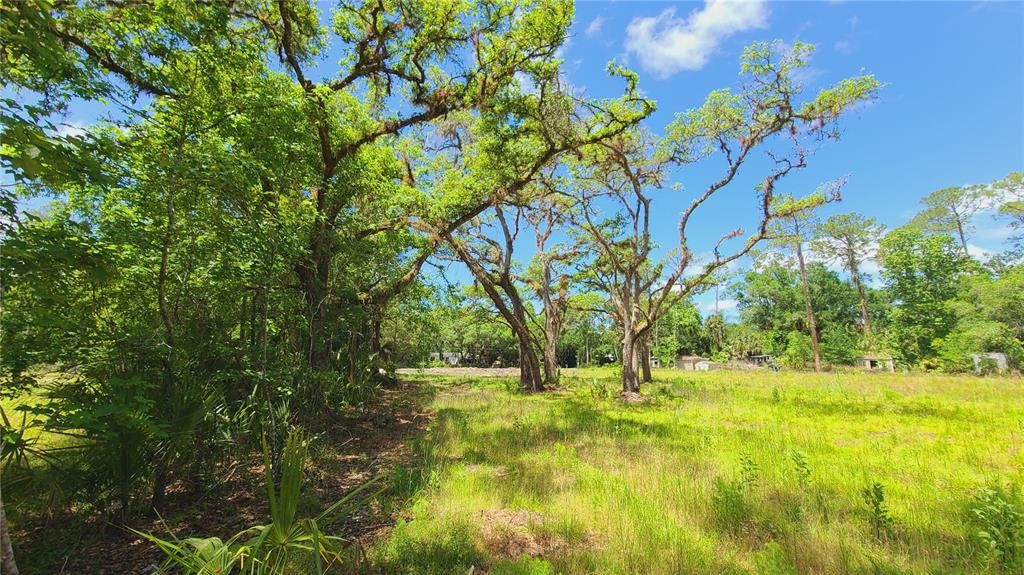 For Sale: $169,500 (1.01 acres)