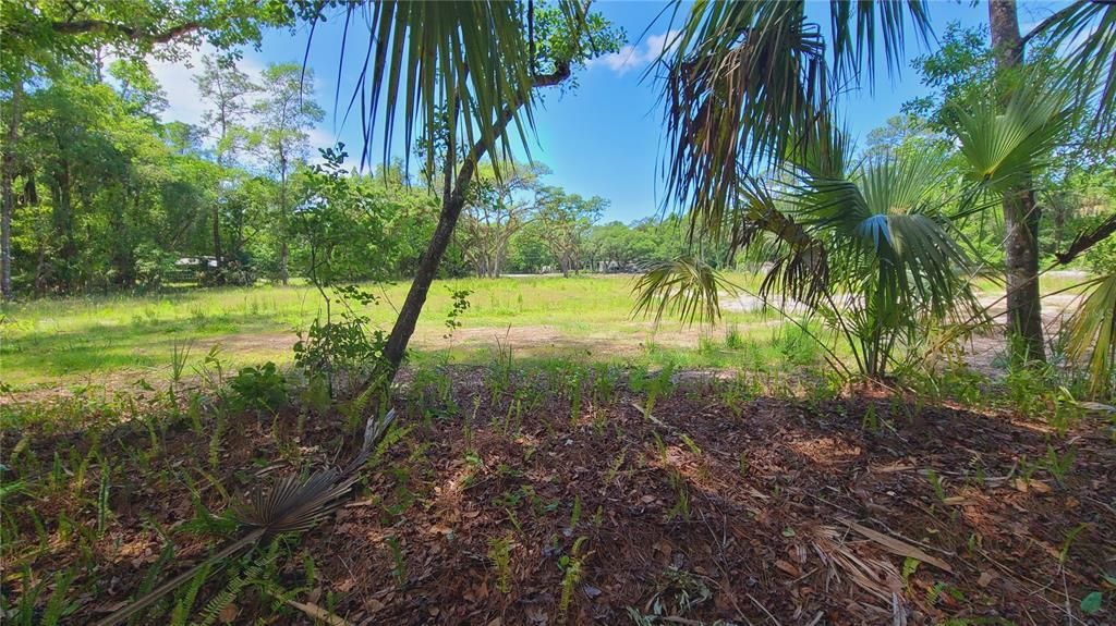 For Sale: $169,500 (1.01 acres)