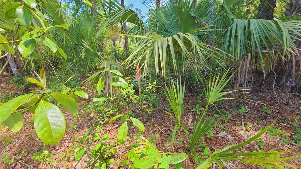 For Sale: $169,500 (1.01 acres)