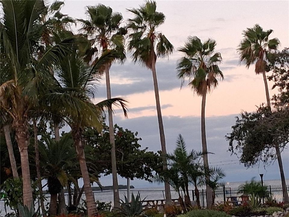 待售: $275,000 (1 贝兹, 1 浴室, 308 平方英尺)