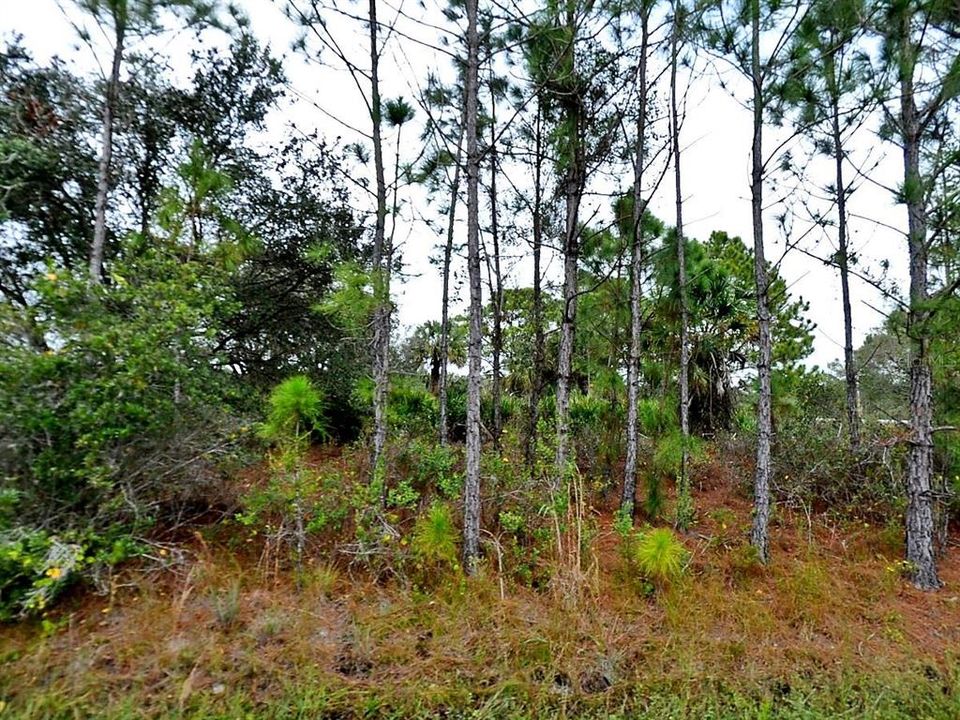 Recently Sold: $11,900 (0.23 acres)