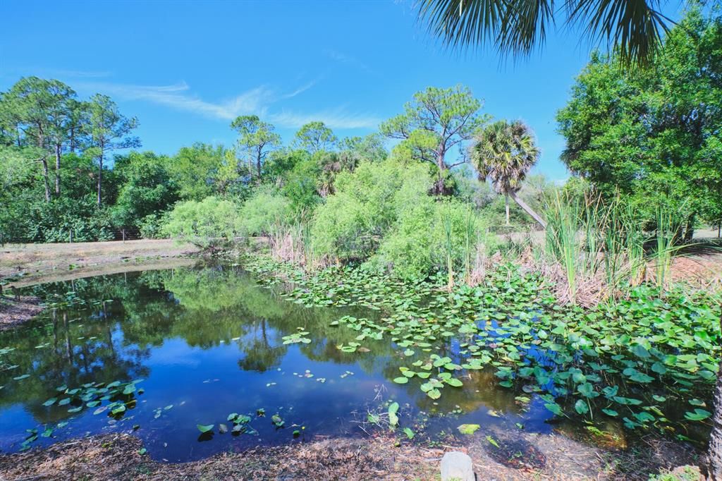 For Sale: $850,000 (6 beds, 4 baths, 3691 Square Feet)