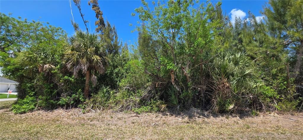 Active With Contract: $25,000 (0.27 acres)