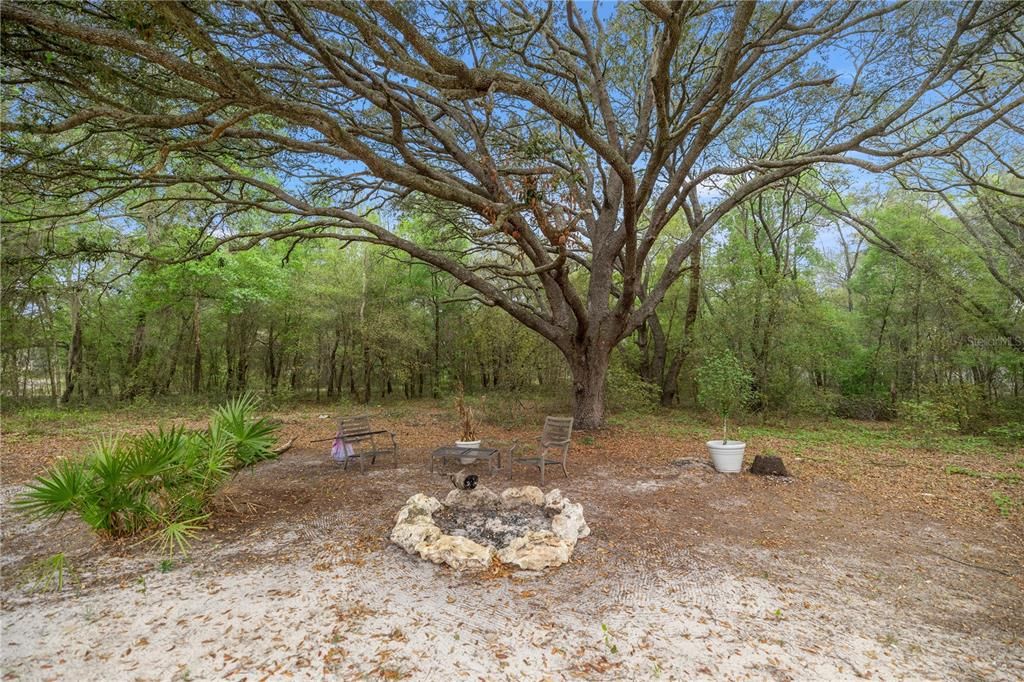 For Sale: $268,000 (3 beds, 2 baths, 1484 Square Feet)