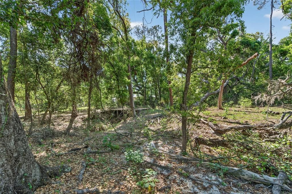 For Sale: $600,000 (15.38 acres)