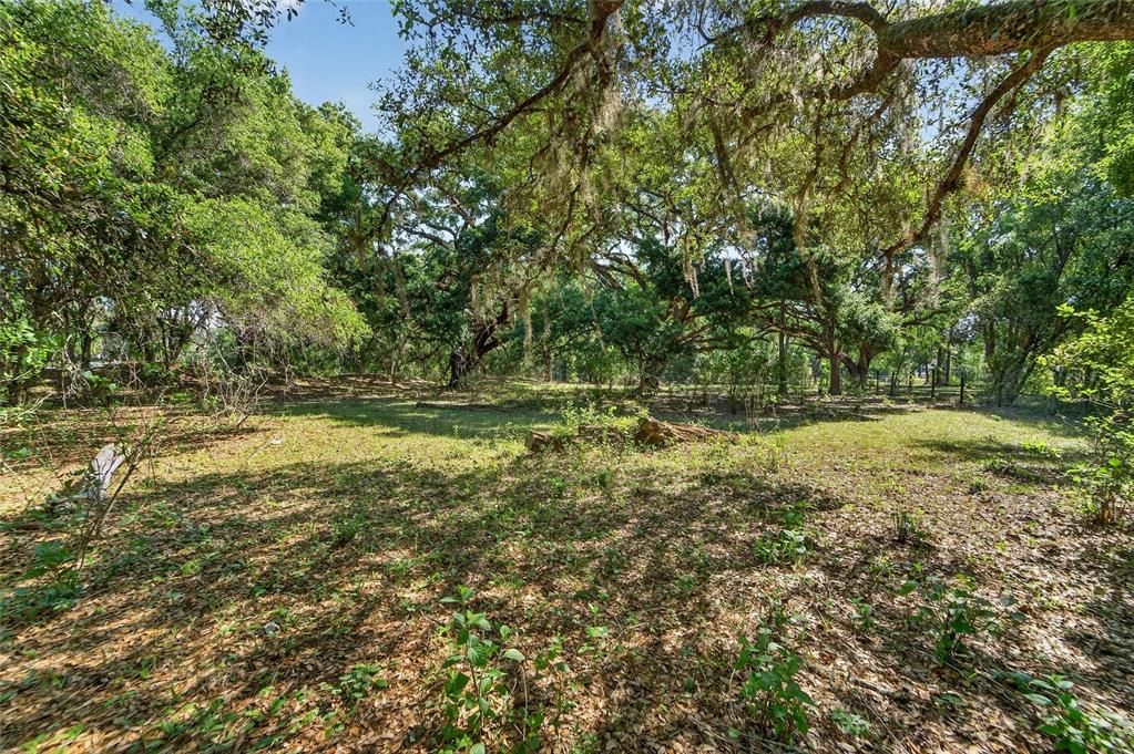 For Sale: $600,000 (15.38 acres)