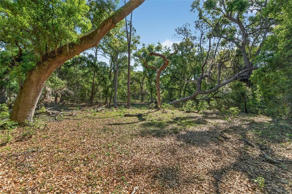 For Sale: $600,000 (15.38 acres)