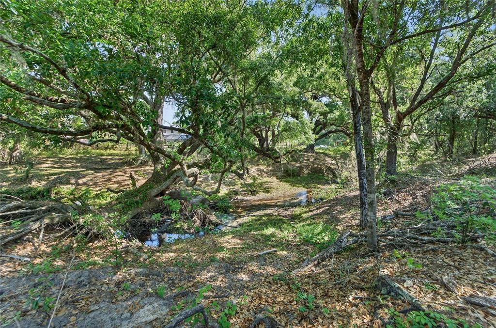 For Sale: $600,000 (15.38 acres)