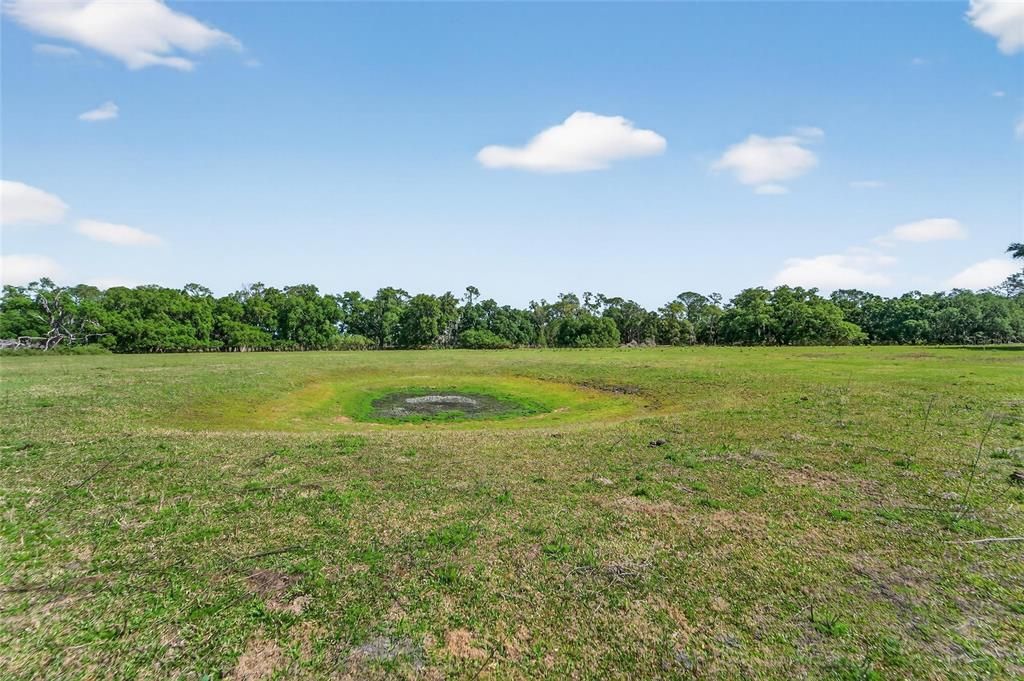 For Sale: $600,000 (15.38 acres)