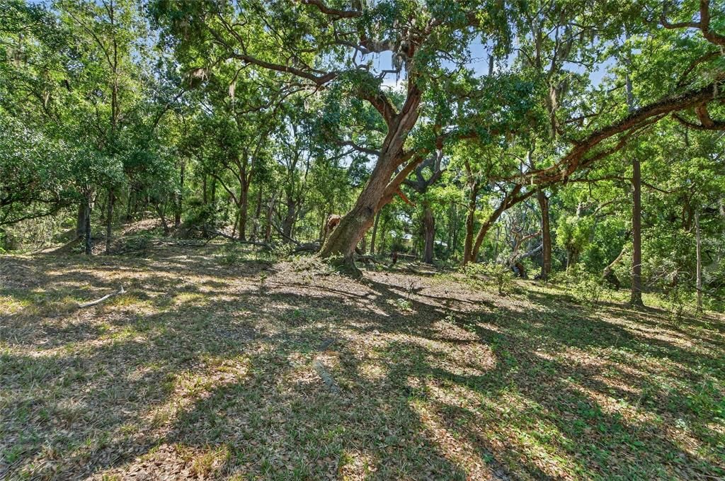 For Sale: $600,000 (15.38 acres)