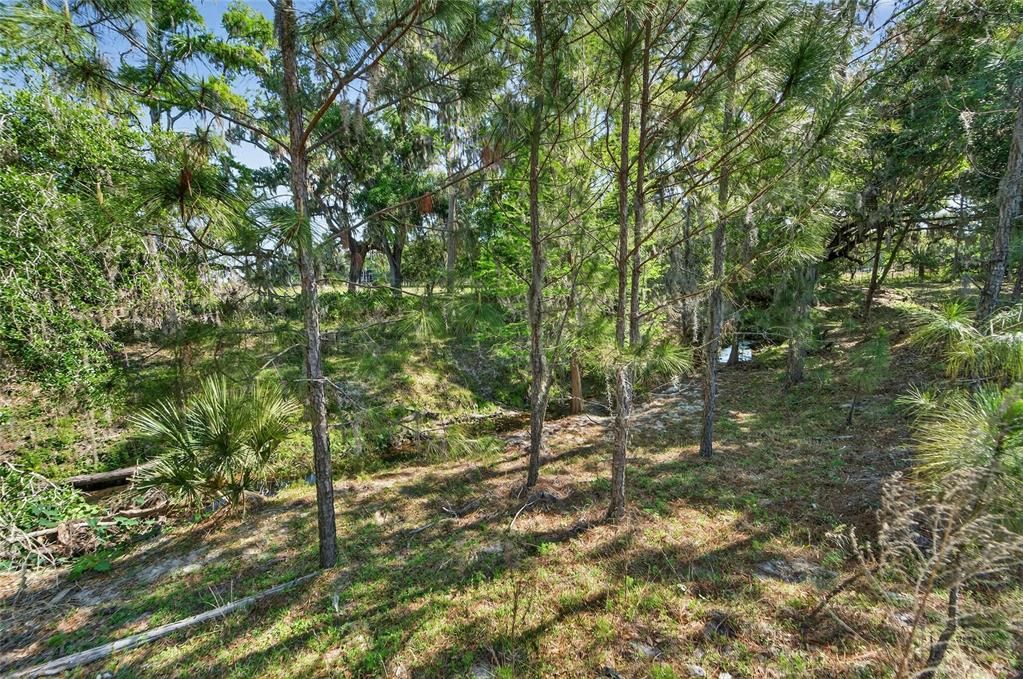For Sale: $600,000 (15.38 acres)