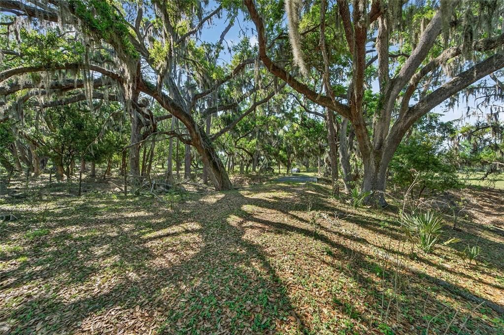 For Sale: $600,000 (15.38 acres)