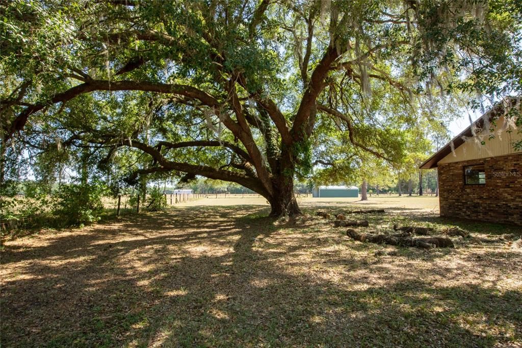 For Sale: $385,000 (3 beds, 2 baths, 1652 Square Feet)