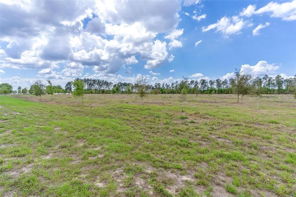 For Sale: $397,000 (10.00 acres)
