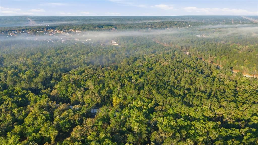 For Sale: $329,995 (8.07 acres)