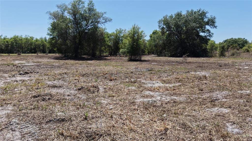 En Venta: $77,500 (2.50 acres)