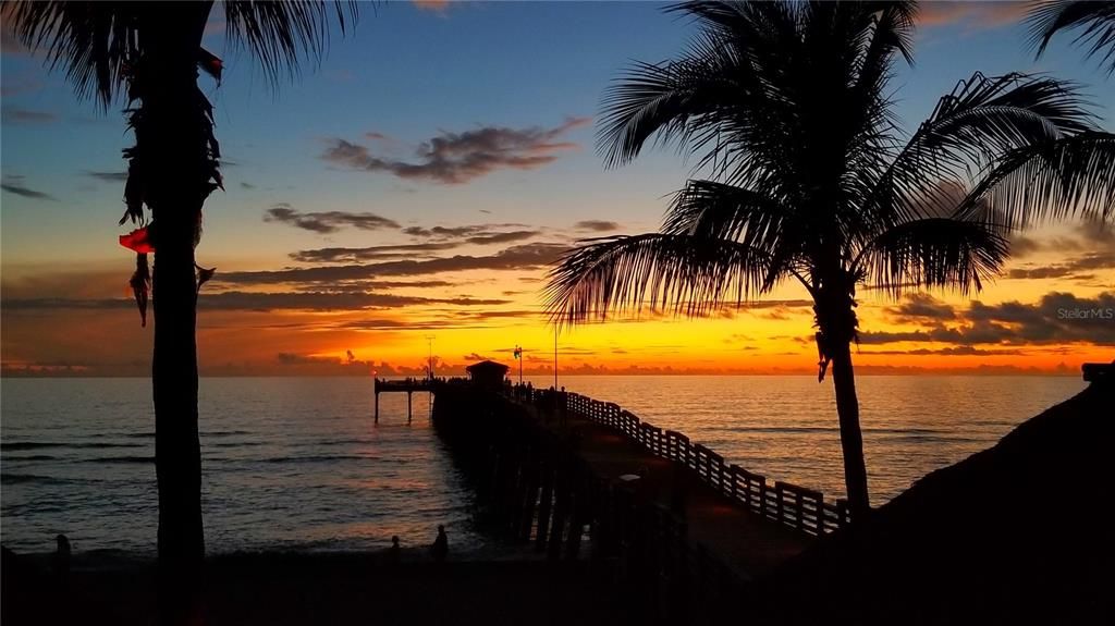 出租: $1,495 (2 贝兹, 1 浴室, 875 平方英尺)