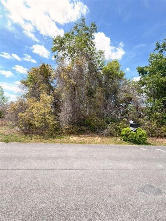 For Sale: $45,000 (0.24 acres)