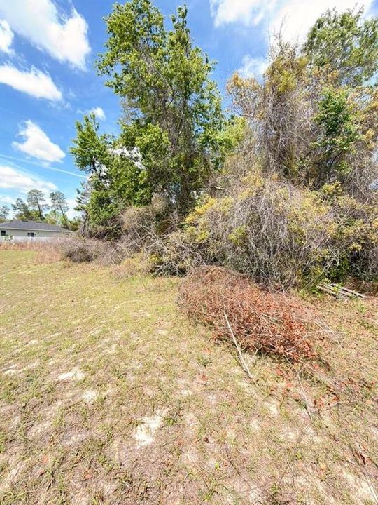 For Sale: $45,000 (0.24 acres)