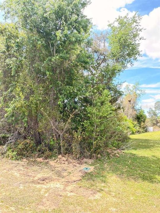 For Sale: $45,000 (0.24 acres)