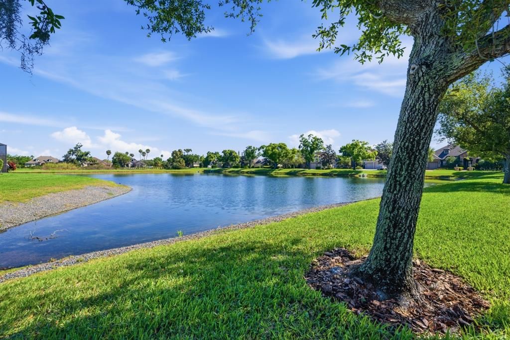 На продажу: $250,000 (0.83 acres)