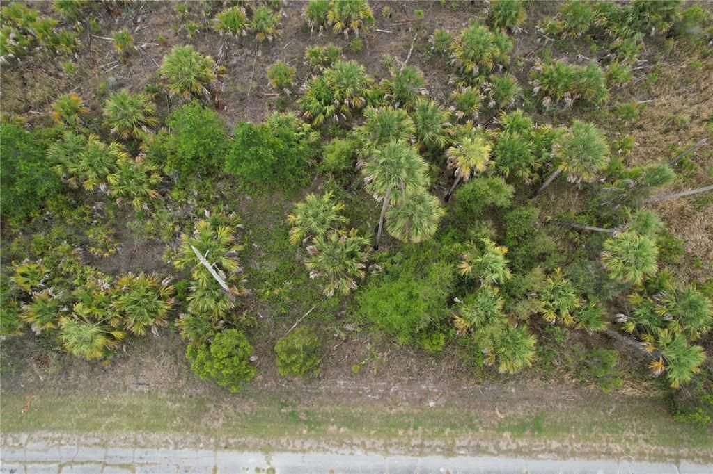 待售: $15,800 (0.23 acres)