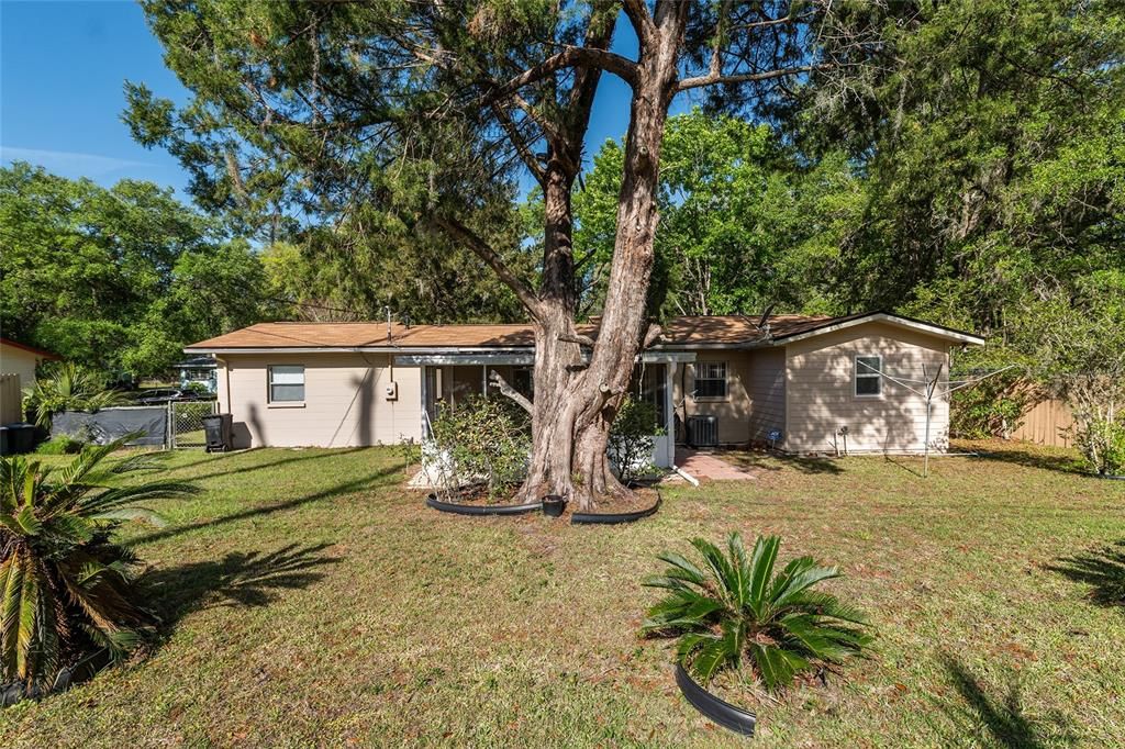 Под контрактом: $229,500 (3 спален, 2 ванн, 1017 Квадратных фут)