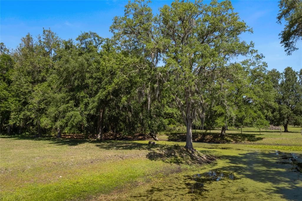For Sale: $599,900 (2 beds, 2 baths, 1152 Square Feet)