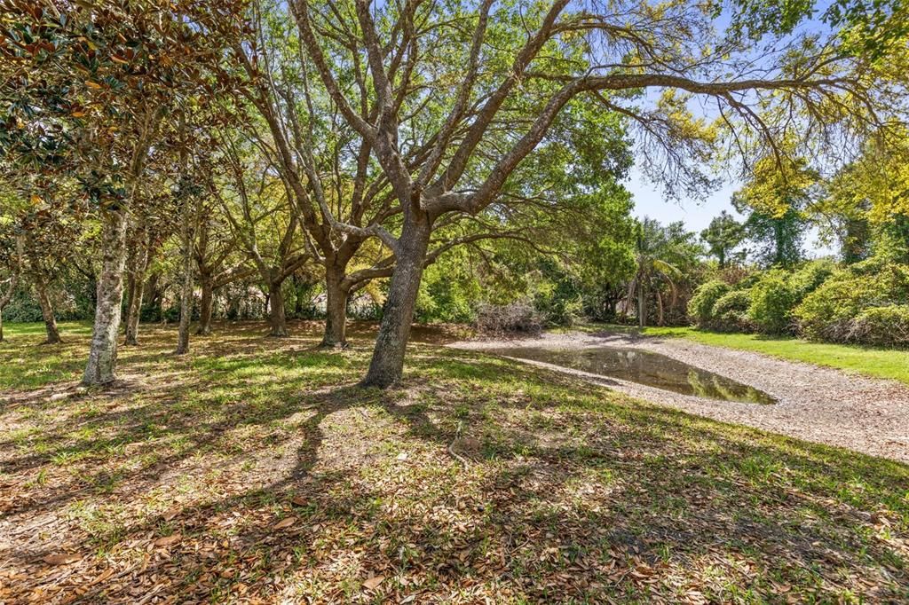 For Sale: $329,000 (3 beds, 2 baths, 1684 Square Feet)