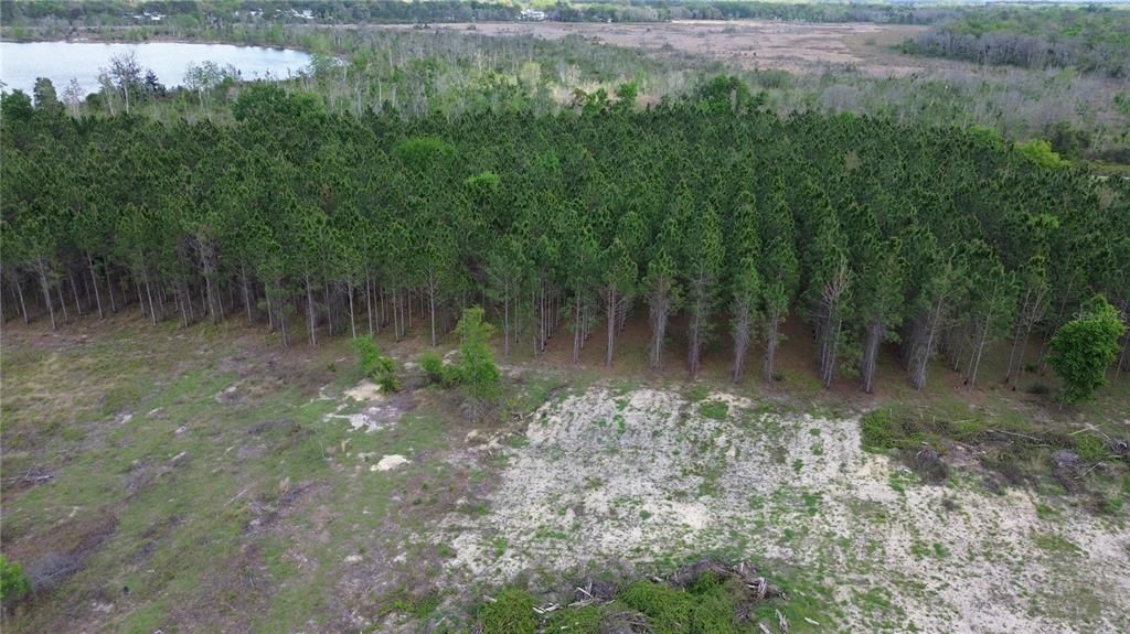 For Sale: $225,000 (3.03 acres)