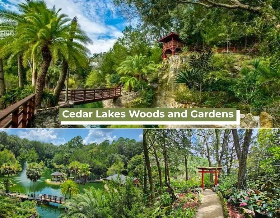 На продажу: $99,000 (4.83 acres)