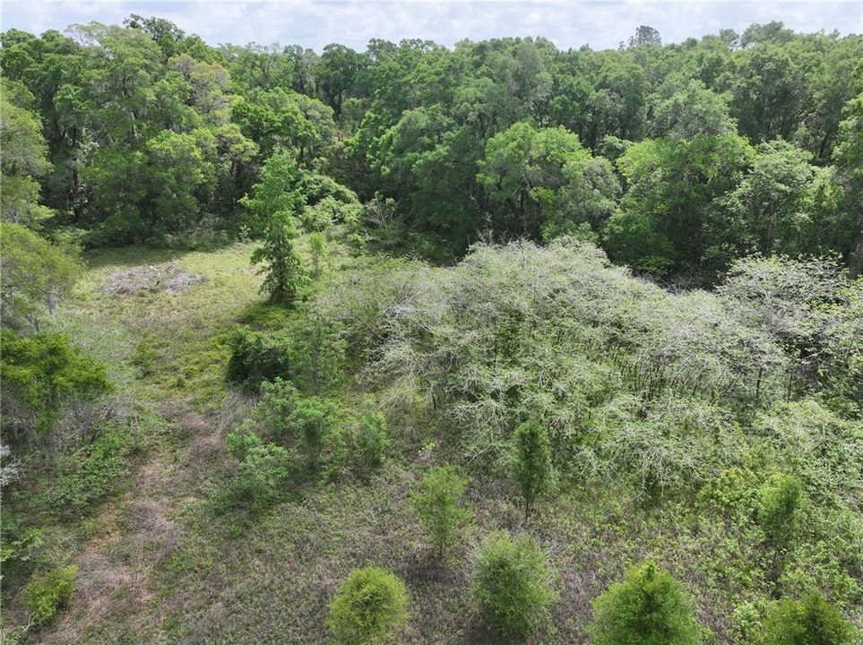 待售: $49,000 (2.00 acres)