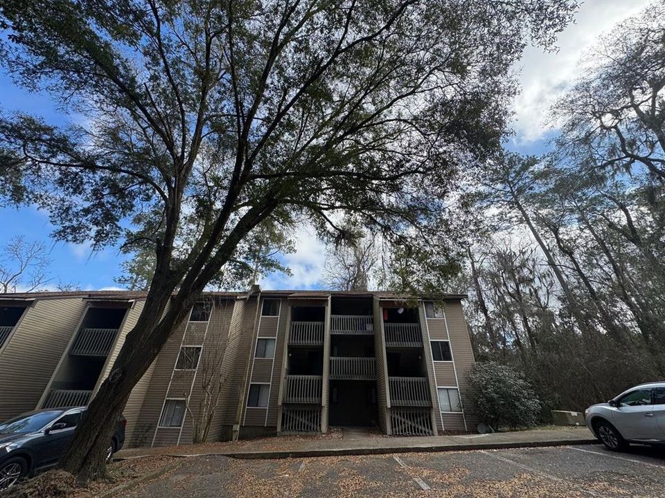 出租: $1,375 (2 贝兹, 2 浴室, 874 平方英尺)