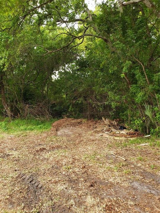 En Venta: $55,000 (0.17 acres)