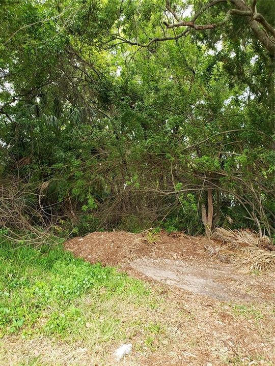 En Venta: $55,000 (0.17 acres)