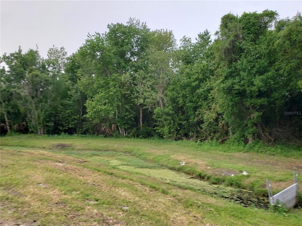 En Venta: $55,000 (0.17 acres)