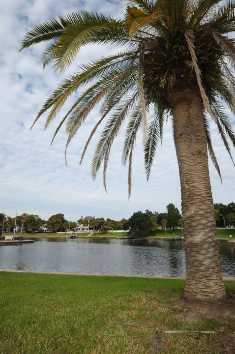 En Venta: $55,000 (0.17 acres)